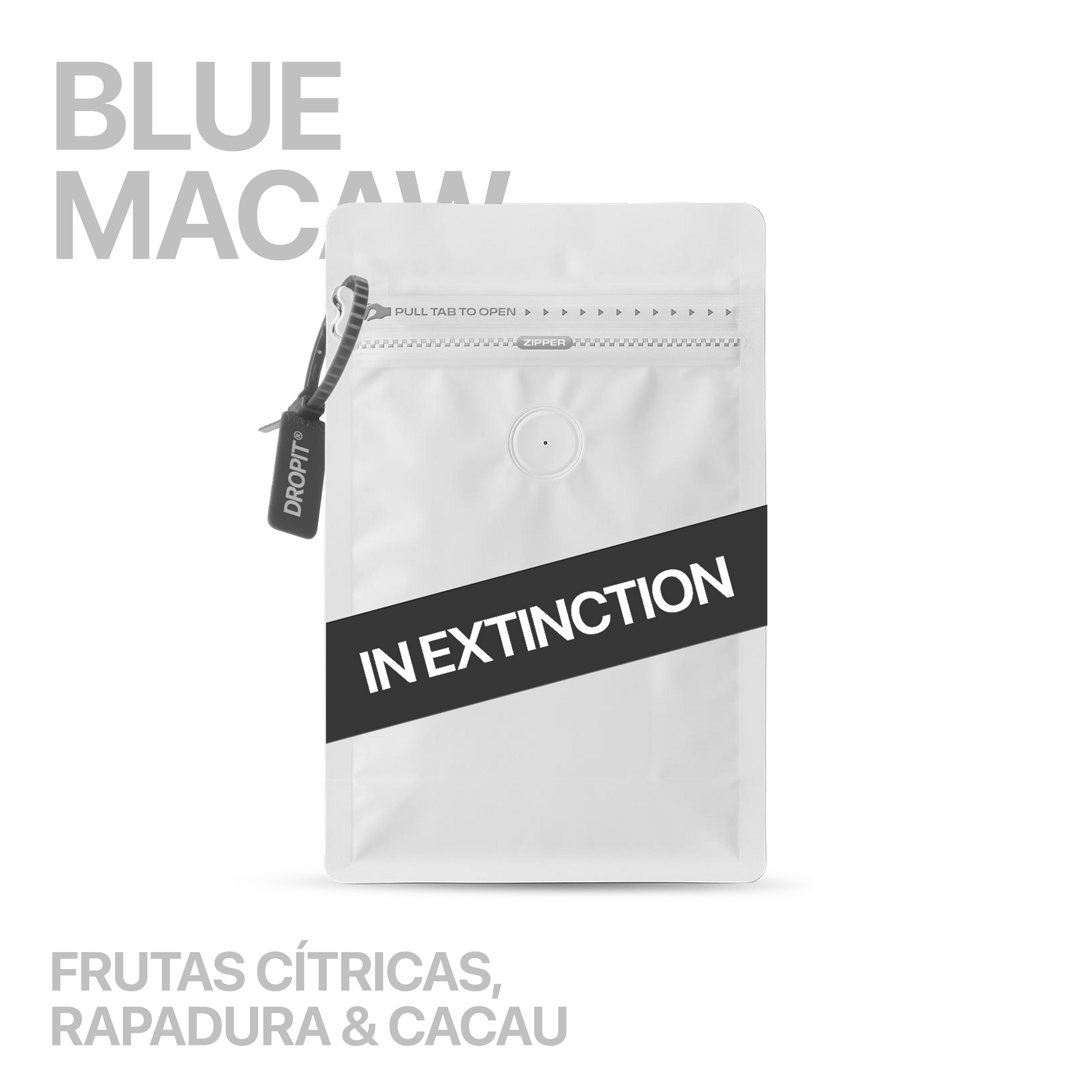 DROP BLUE MACAW